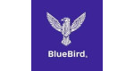 BLUE BIRD