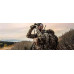 Бинокль VORTEX Viper HD 10x42